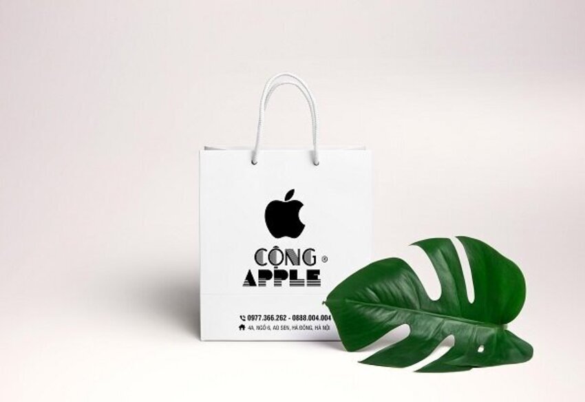 in túi giấy đựng điện thoại