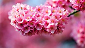 quà tặng ngày tết ý nghĩa