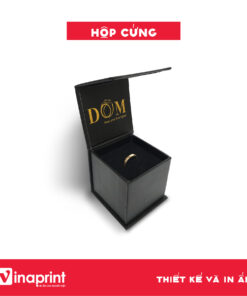 Mẫu hộp cứng đựng sản phẩm số 24