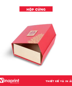 Mẫu hộp cứng đựng sản phẩm số 27