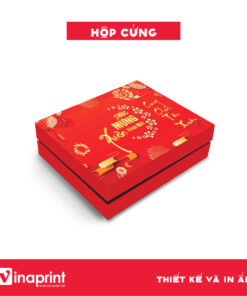 Mẫu hộp cứng set quà Tết số 28
