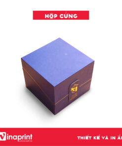 Mẫu hộp cứng đựng sản phẩm số 29