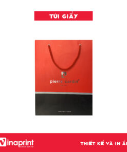 Mẫu túi giấy 2