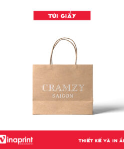 Mẫu túi giấy 4