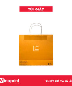 Mẫu túi giấy 8