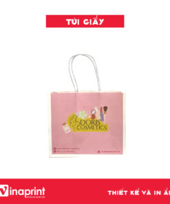 Mẫu túi giấy 9