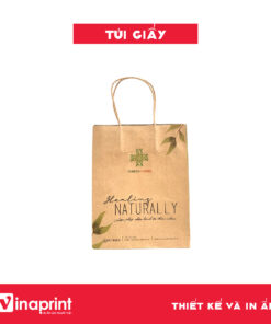 Mẫu túi giấy đựng sản phẩm