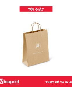 Mẫu túi giấy 12