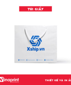 Mẫu túi giấy đựng sản phẩm
