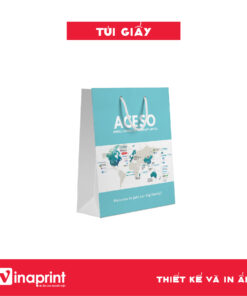 Mẫu túi giấy 24