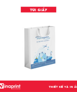 Mẫu túi giấy 27