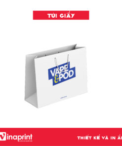 Mẫu túi giấy 30