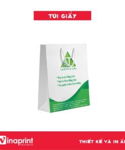 Mẫu túi giấy 31