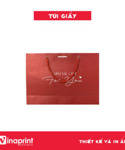 Mẫu túi giấy 34